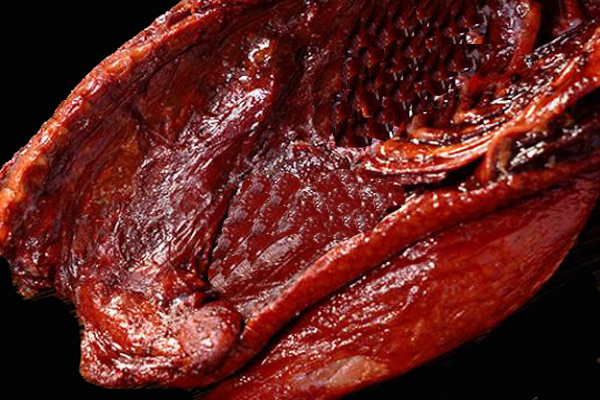 分光測色儀在醬鴨色澤測定與品質(zhì)管控中的應(yīng)用