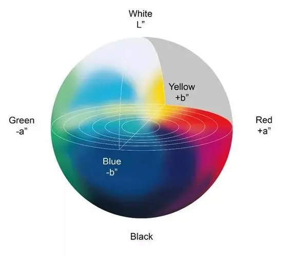 色差儀數(shù)值的含義